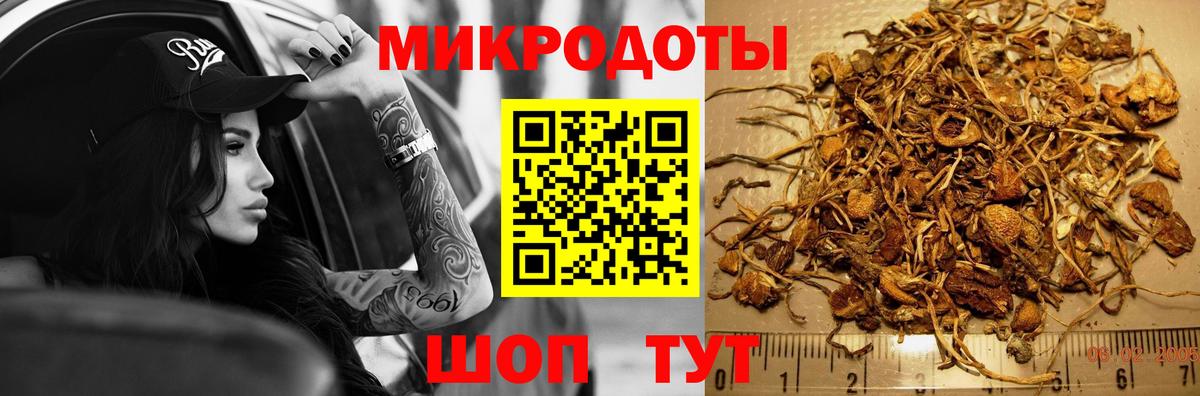 Крымск  Галлюциногенные грибы прущие грибы  Вход с VPN 